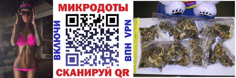 даркнет сайт  Чекалин  Галлюциногенные грибы Psilocybine cubensis 